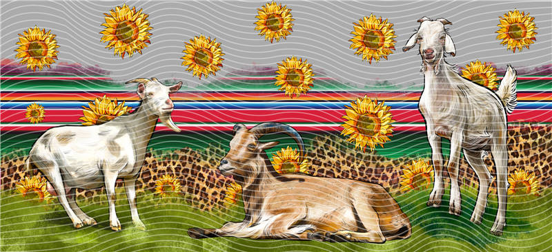 16oz Animals-L 560
